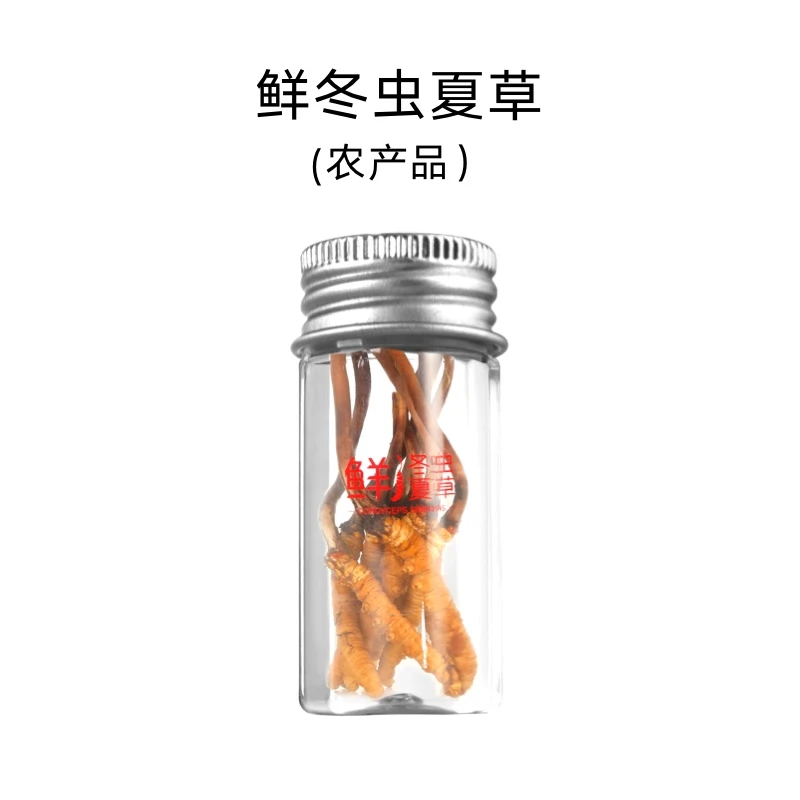 总统牌 鲜冬虫夏草 3A级-81支装 （0.81-1.0g/支）*2送礼装