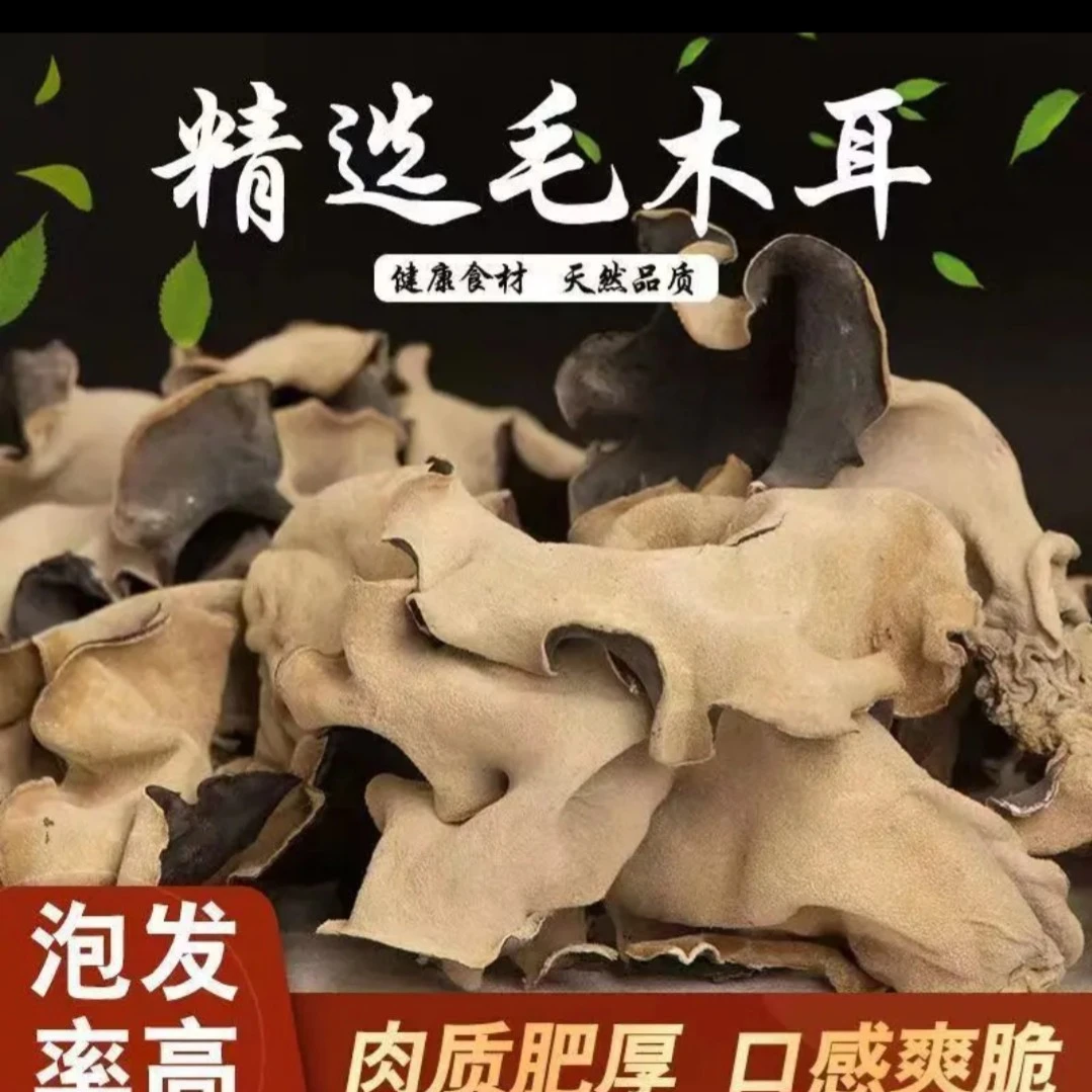 脆木耳干货单片无根适合餐饮火锅的白背毛木耳中药饮片