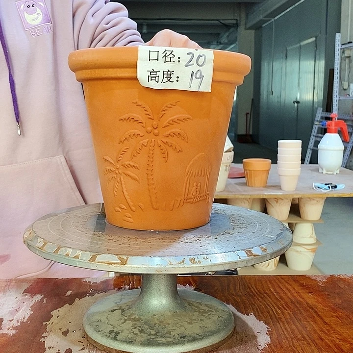 椰子树20×19-1