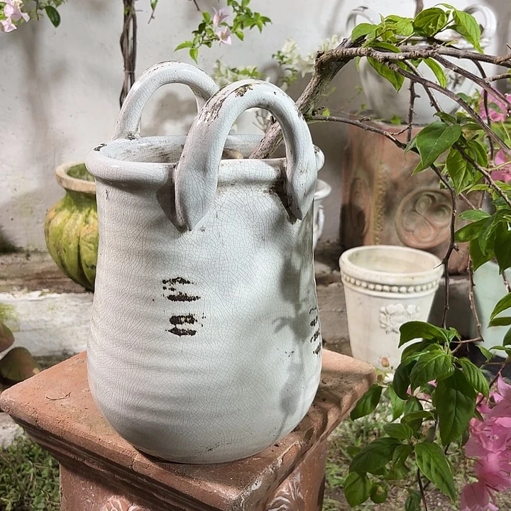 许纯的花房 手拉 高款