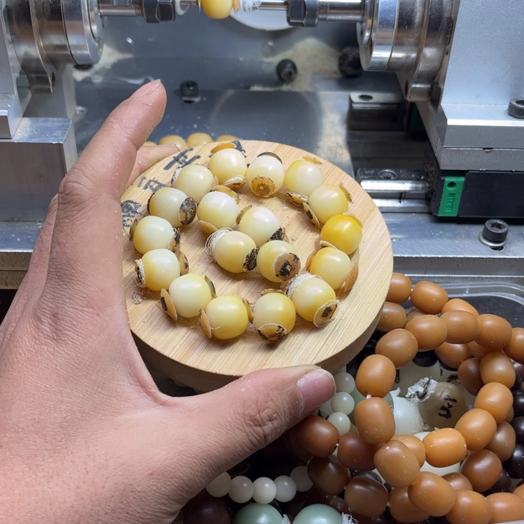 吊坠菩提根/象牙果