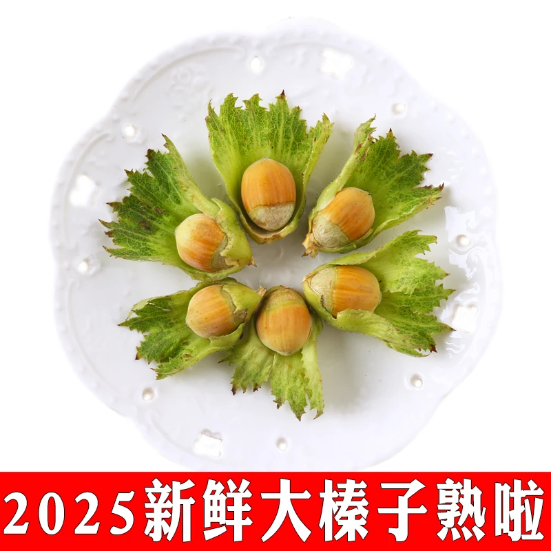 2025年新鲜大榛子东北带绿皮水仁水瓤生的桓仁去绿皮新货榛子500g