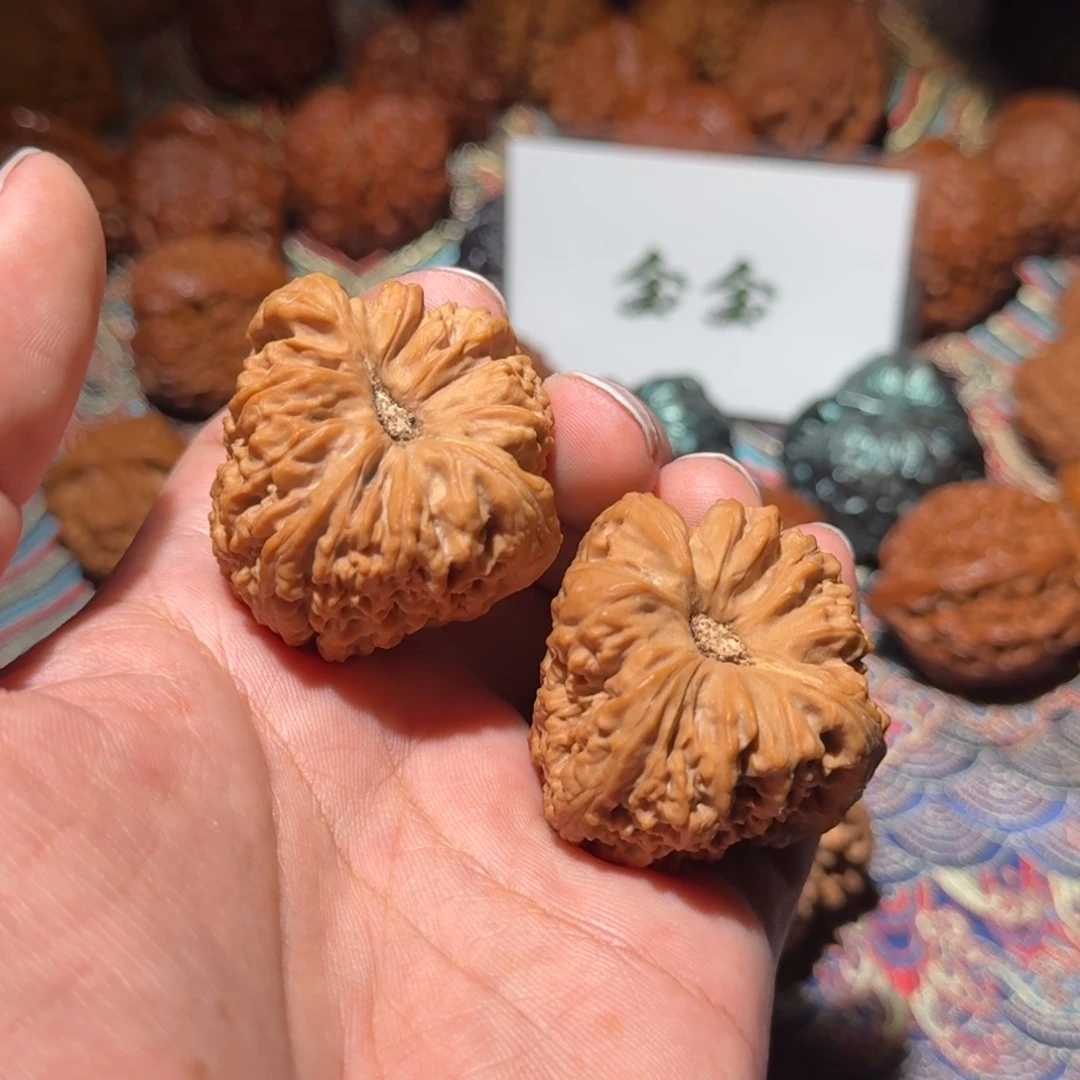 把件核桃2140南疆拉丝龟背凹底，尺寸39 39 40