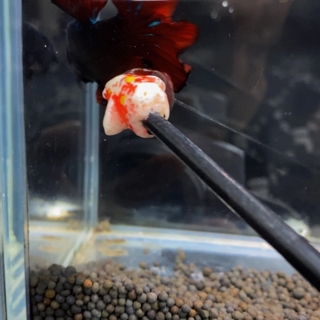 炫***界斗鱼324裤兜11111111