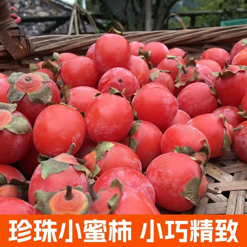 吊红软柿30枚单果30-45g/新鲜采摘应季水果现摘现发