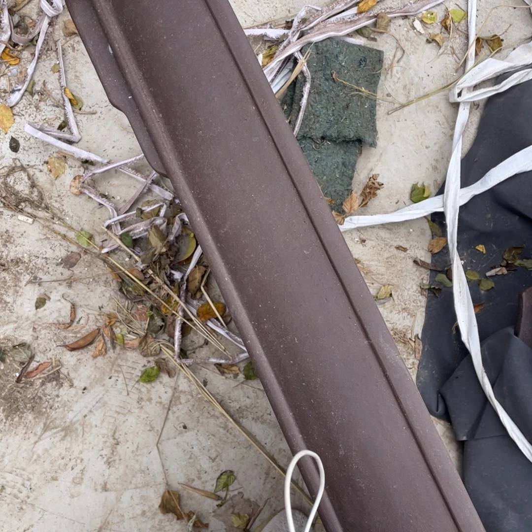 z***y特价处理紫砂一只130