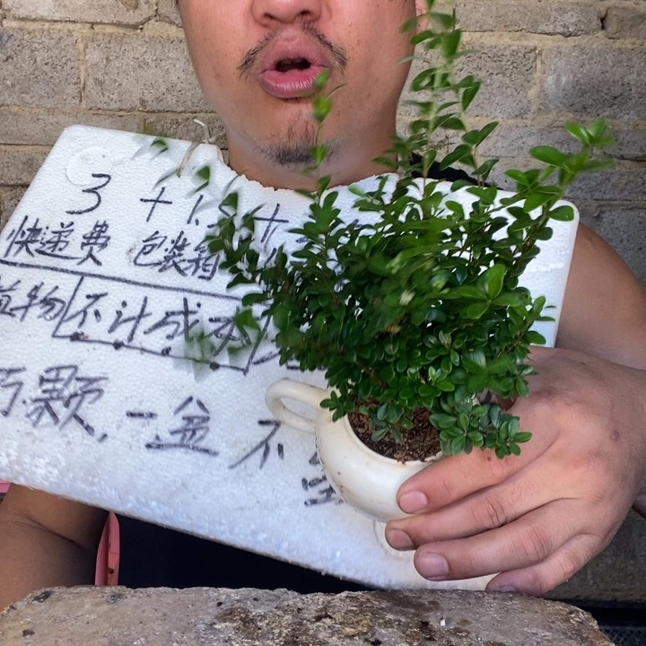 退款拉黑一物一拍9