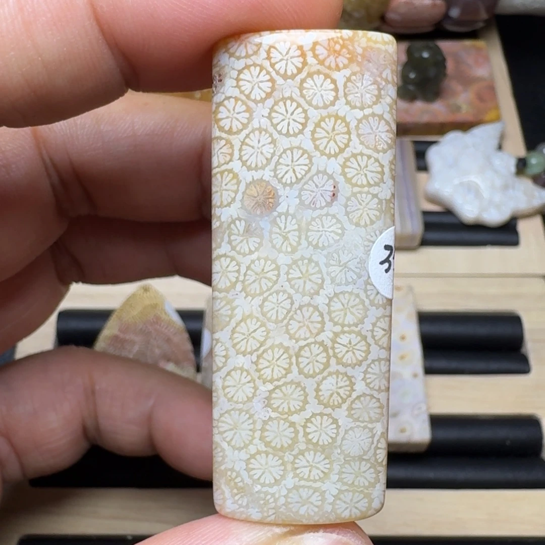 未镶嵌纯天然色有机玉石保真色硅化玉