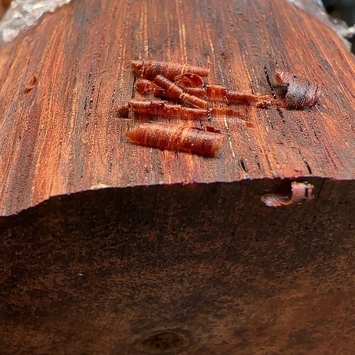 用***9降真香定制不退换