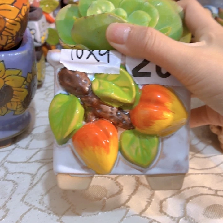 多肉花盆满15包邮