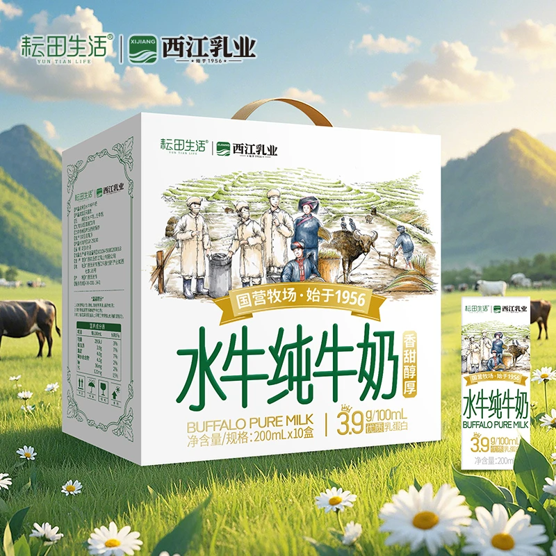 水牛奶纯牛奶学生营养早餐奶200ml*10盒
