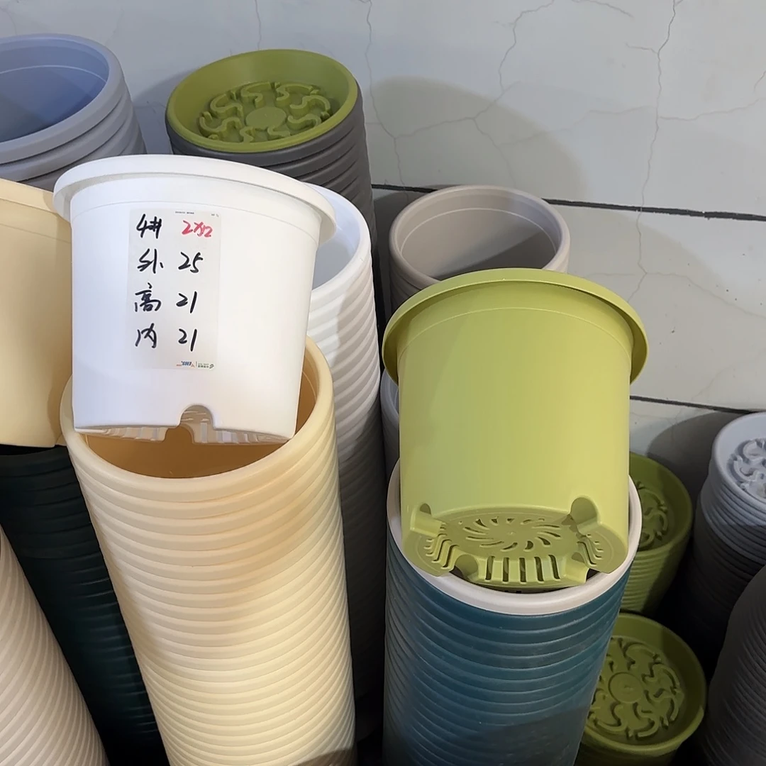 微瑕4号8个无托，果绿