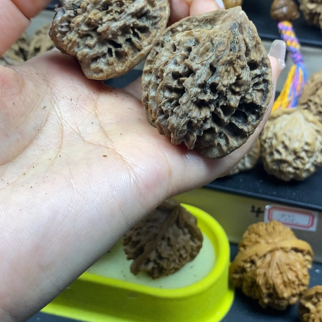 桃核把件用****7秦岭薄楞官帽43