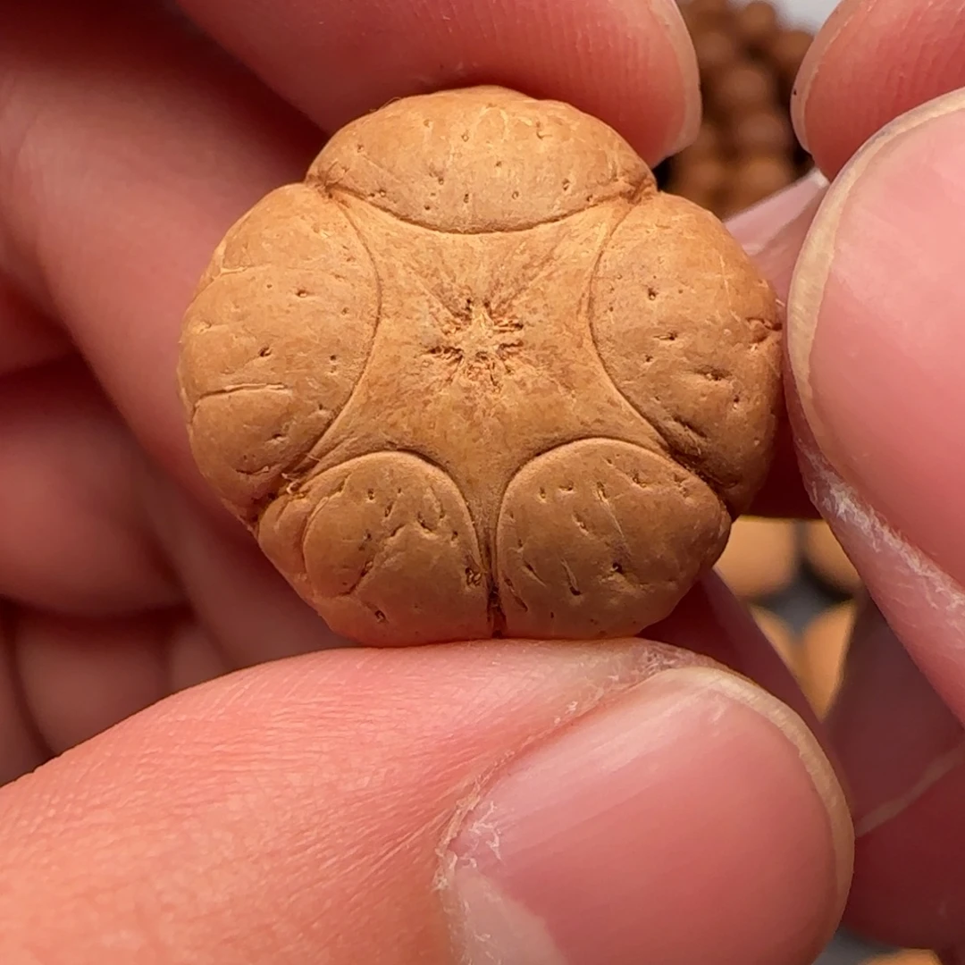 彀***鶬吊坠麒麟眼菩提22➕梅花五星