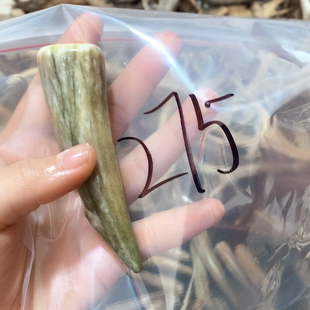 鹿角鹿角鹿角鹿面鹿角