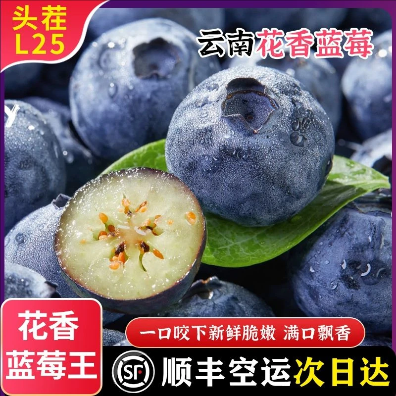 云南L25花香蓝莓大果高山现摘新鲜水果125g*4盒/6盒/箱顺丰空运