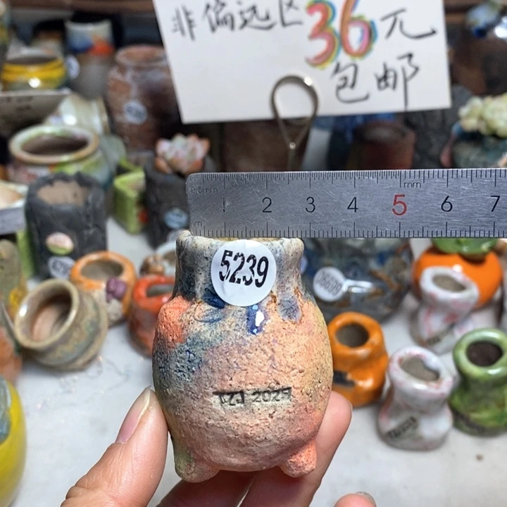 拍3送一个小礼物花盆