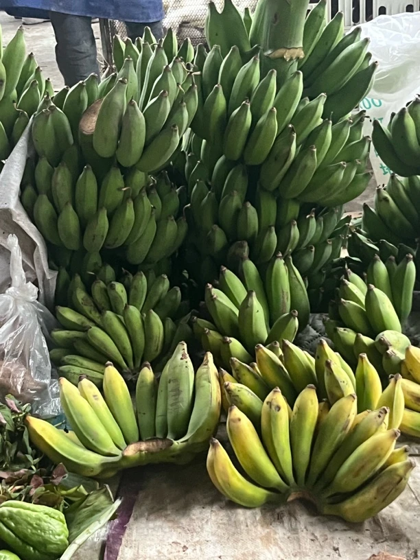 （阿涛）野芭蕉 云南大集现收山货