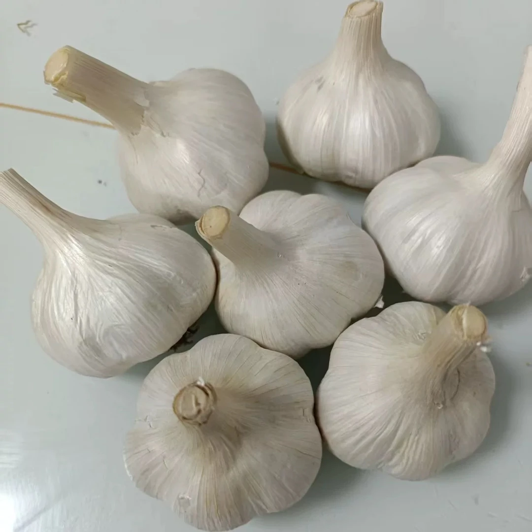 2025年农家自种白皮大蒜可吃可种辛辣提香