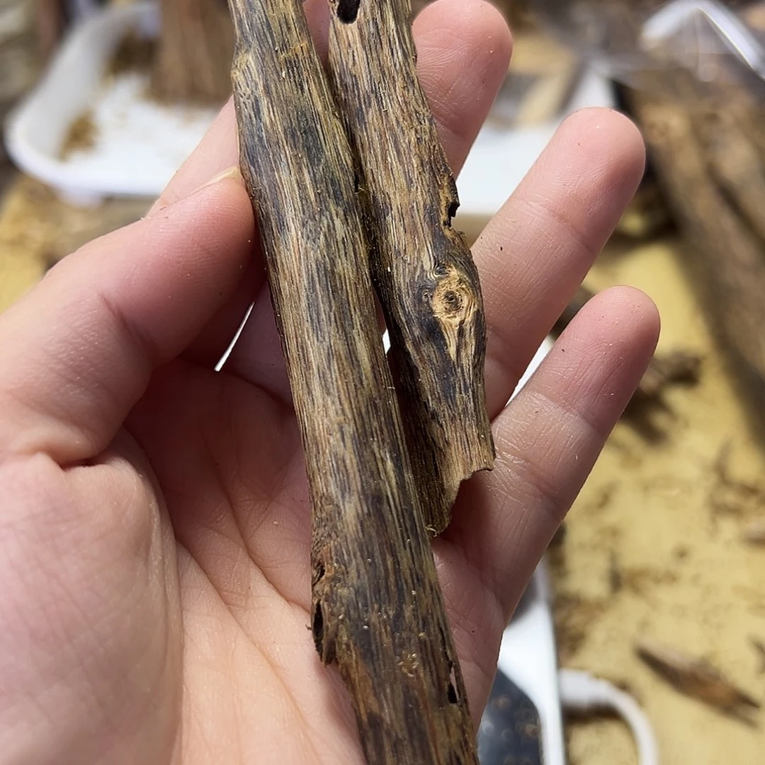 木绿奇楠虫漏10克