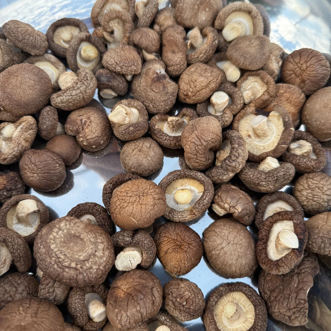 【张大庆专属】香菇干煲汤炖鸡营养美味