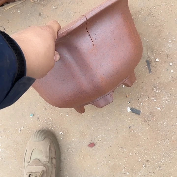 在这里我们都在寻找答案呀这不正是你们期待要