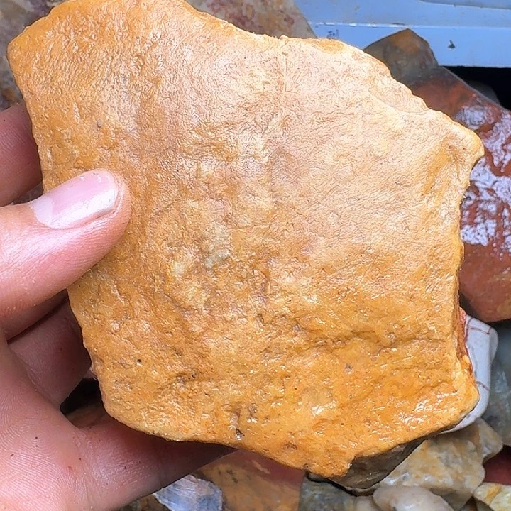 寿山石甲****李寿山石的价格