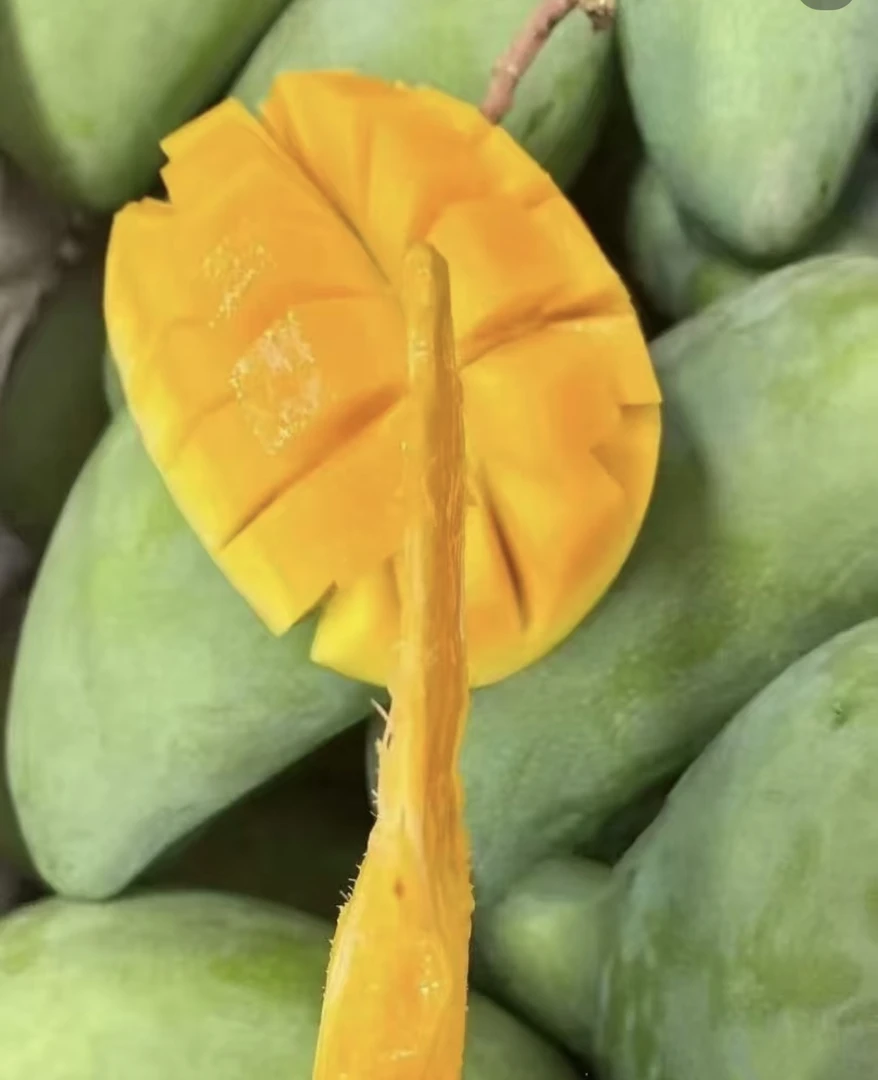 版纳大青芒五斤包邮软糯香甜