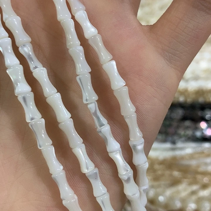 一条天然马蹄螺竹节