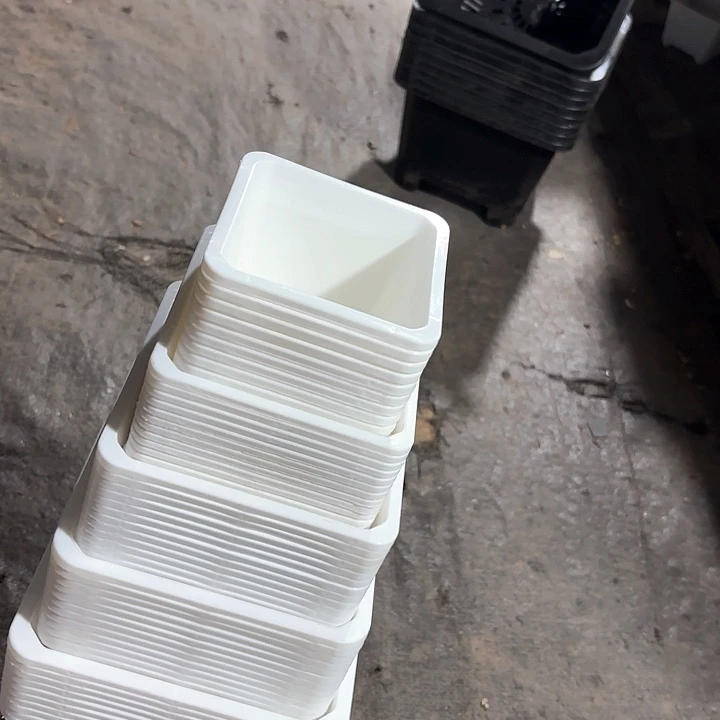 白方盆50个180-160-140-120-100