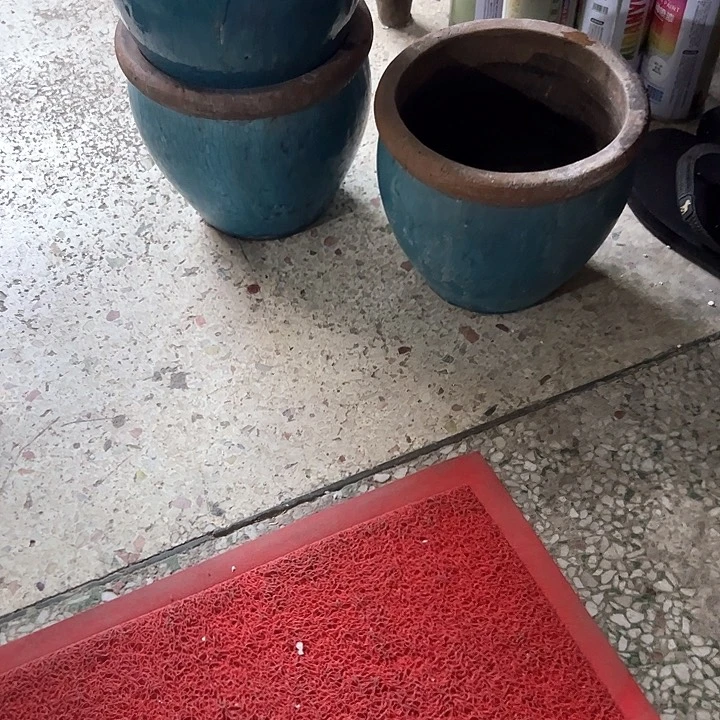 红陶吾*。。。。。。。。。。