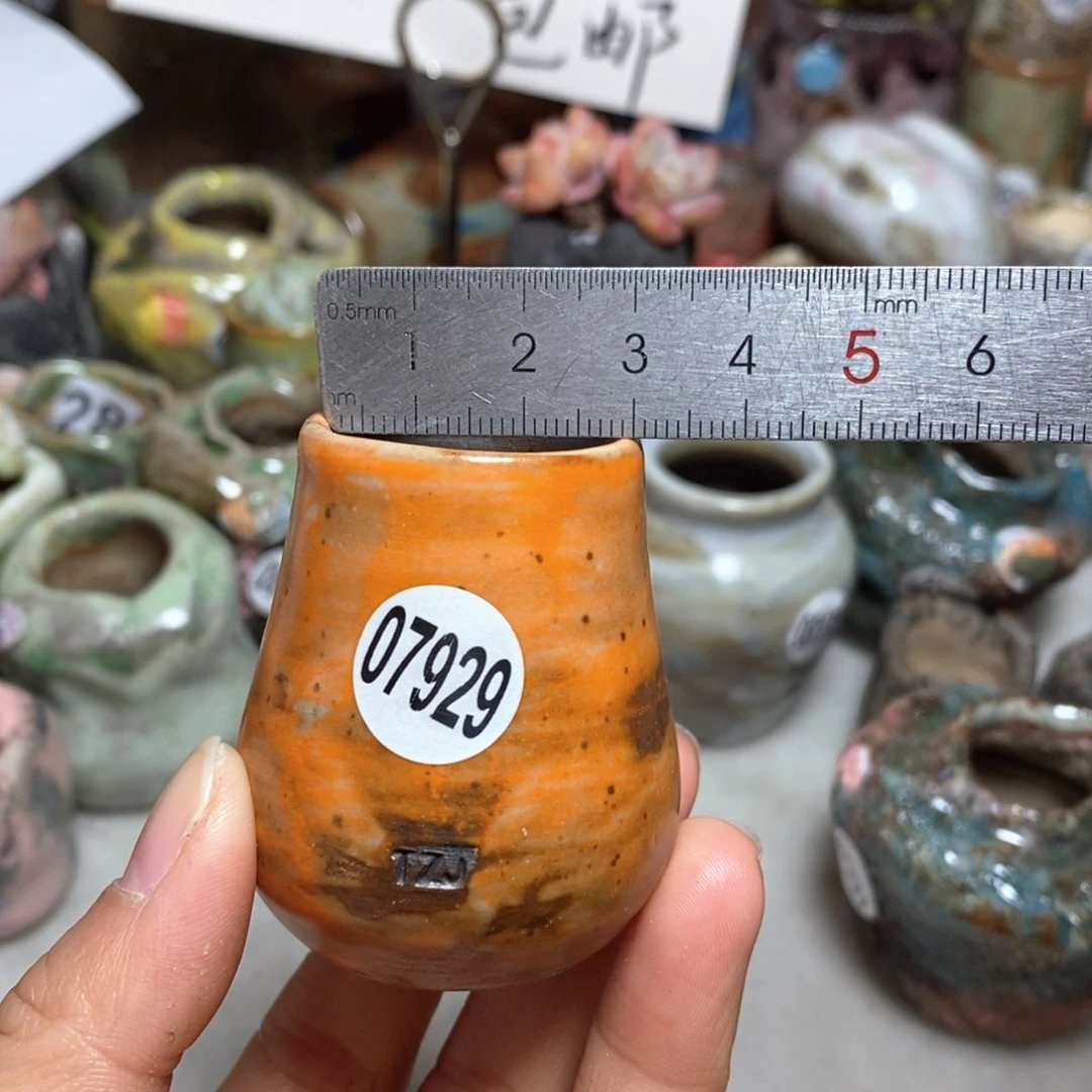 花盆拍5送一个小礼物