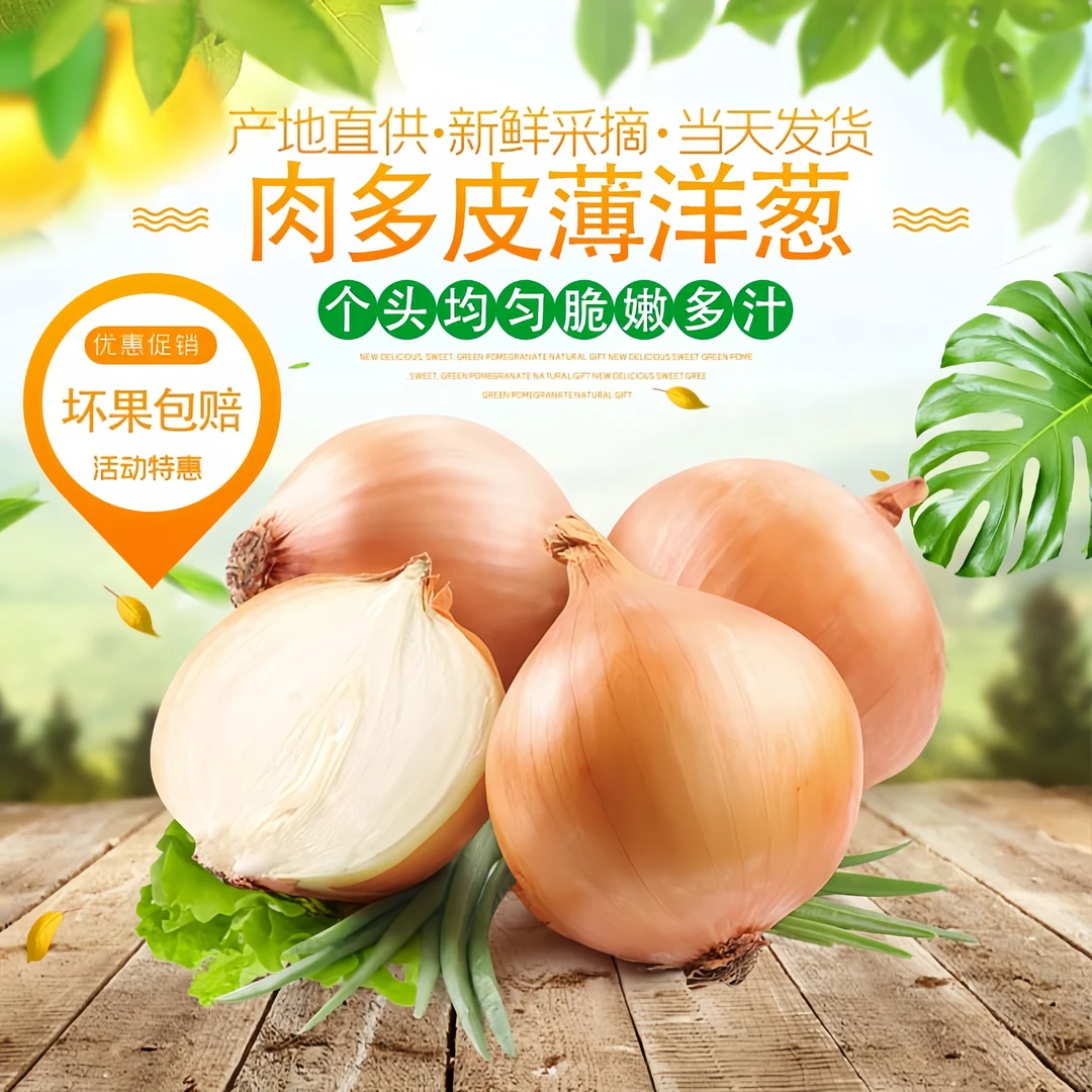 新鲜黄皮洋葱白肉脆甜葱味浓郁河南产地蔬菜