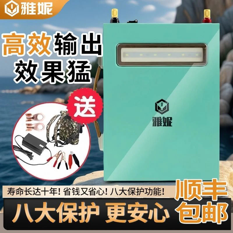 雅妮电池12v大容量锂电瓶大功率便携多功能头灯推进器逆变器电瓶