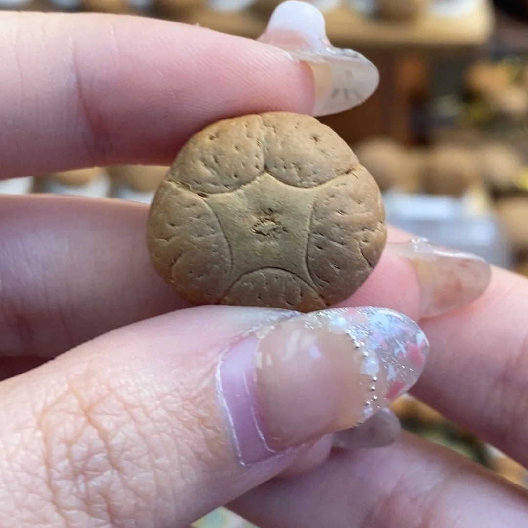 吊坠凤眼菩提五星