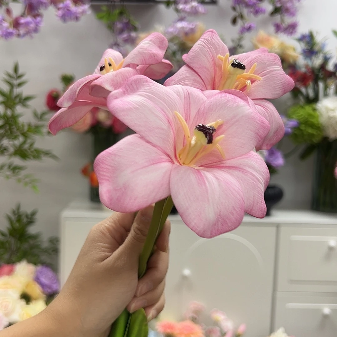 3枝粉色布朗尼郁金香