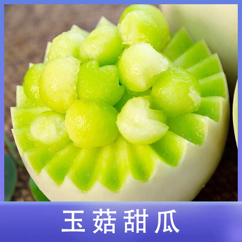 山东头茬玉菇冰淇淋甜瓜放置冷藏后口感更佳新鲜水果