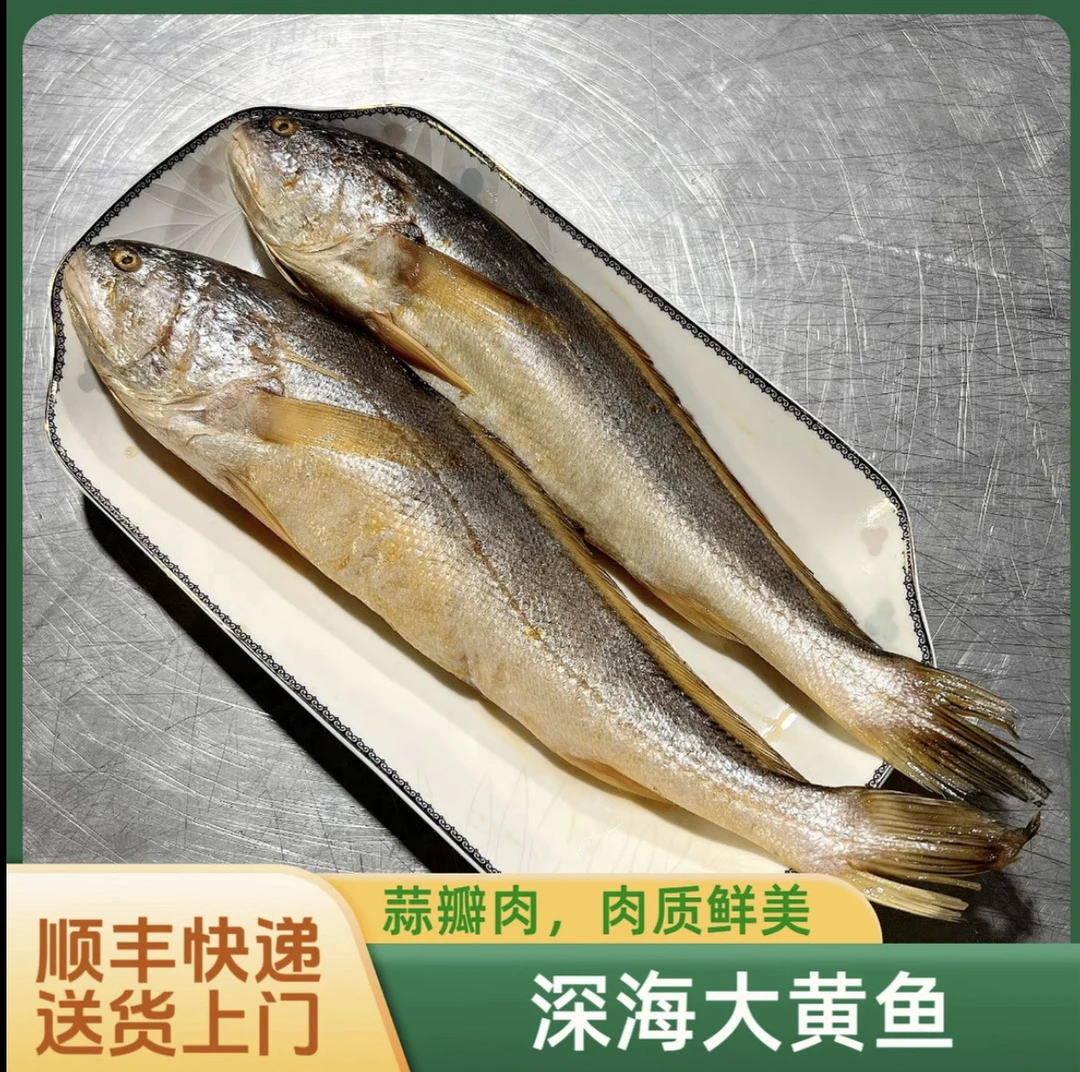 （7大条）海黄鱼 肉质鲜嫩 蒜瓣肉 码头直发 7两左右/条 到手7条
