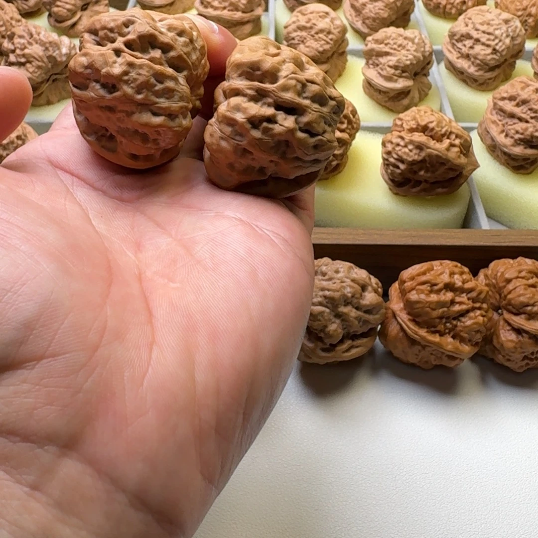 大叶紫檀（黑酸枝木类）