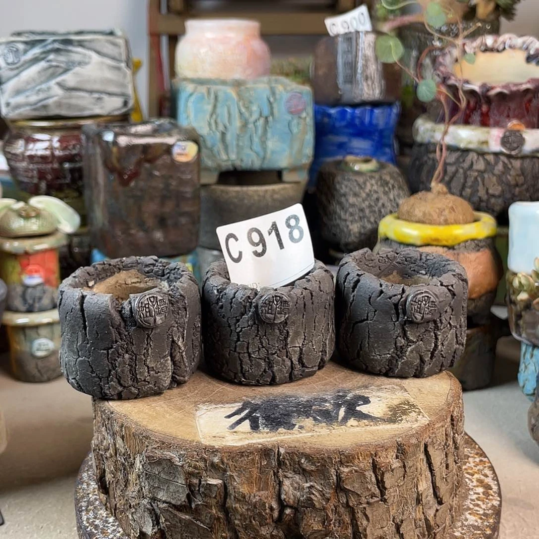 紫砂花盆开播福利 任意发一个 默认微次