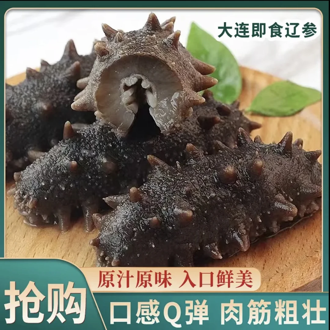 【自家海参】新店甩卖11-14头辽刺参即食大连海参正宗辽参