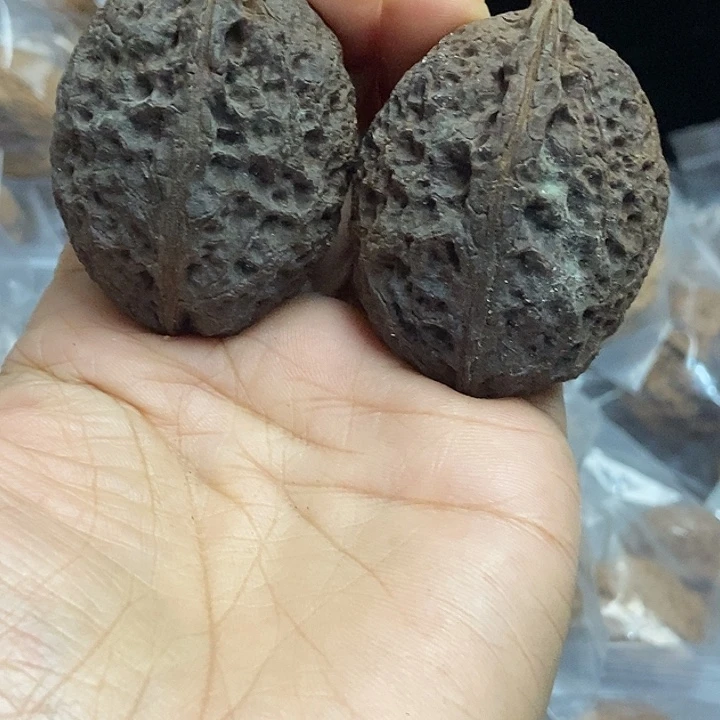 木质类云南铁核桃+52