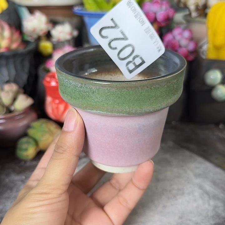 重庆小燕子欢迎大家022