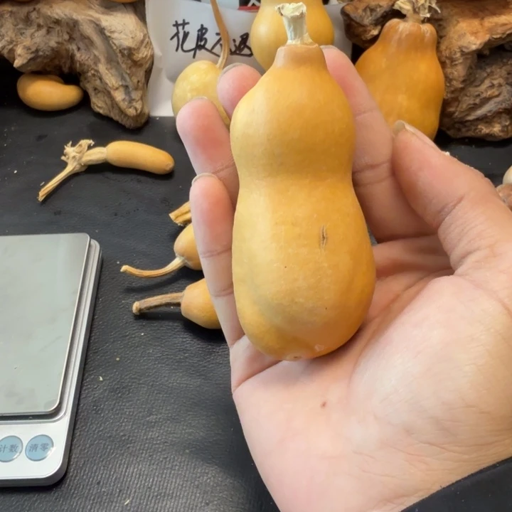 心***安777……………………………………