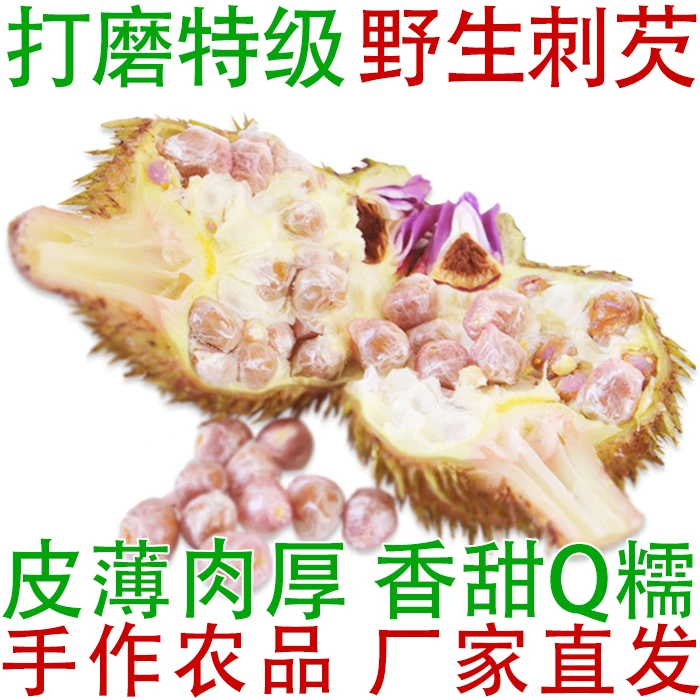 野生刺芡 25年新鲜带壳鸡头果芡实 打磨特级果12-14mm鸡头米特产