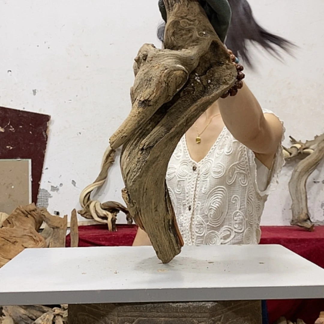 【闪购商品】柏木诗**下我们都是好孩子