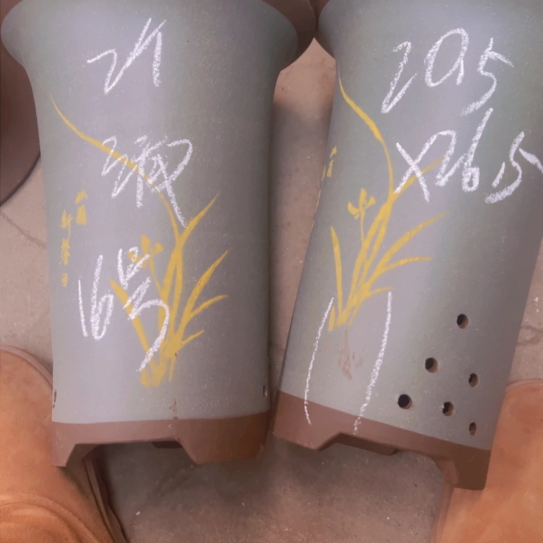 紫砂16……………………………………