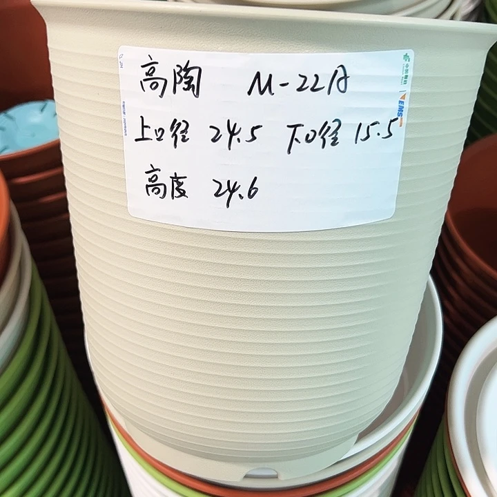 正品高陶口24高24米色无托5只