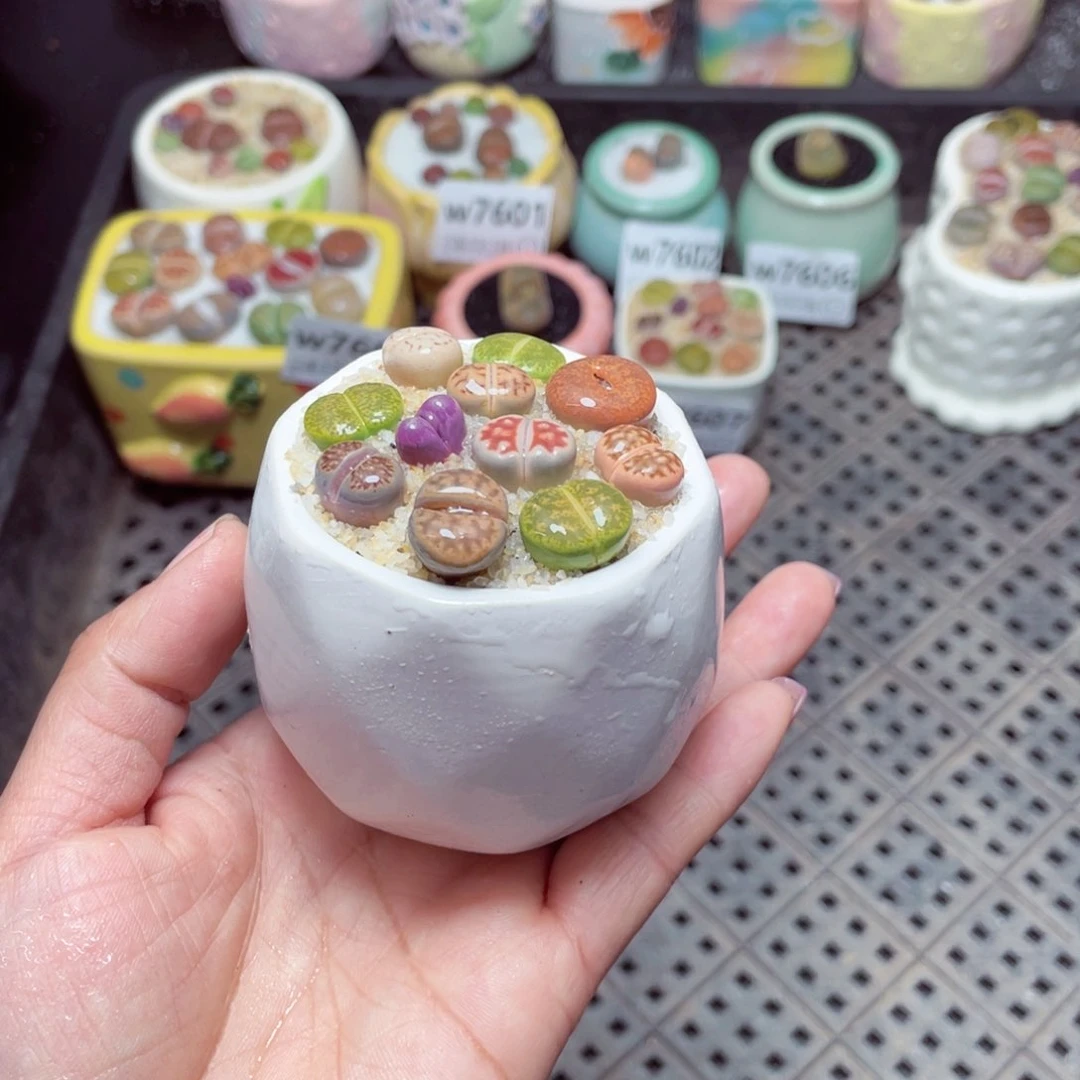 w7608 -零下地区拍保温箱-15支持寄养