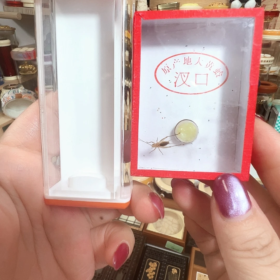 哈哈哈有机盒➕段须大黄